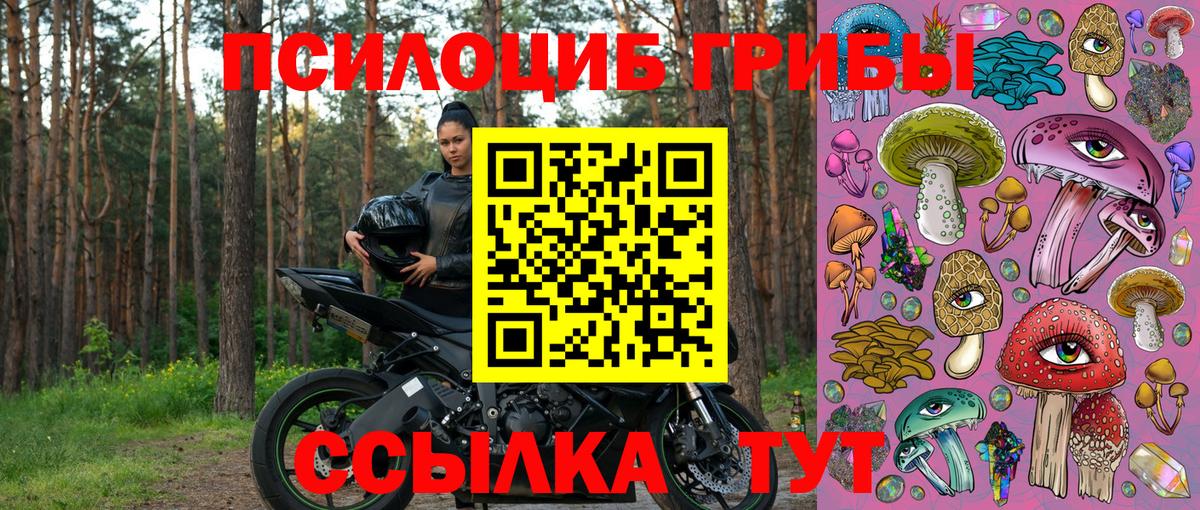 Галлюциногенные грибы Psilocybe  Вход с VPN  Нарьян-Мар 